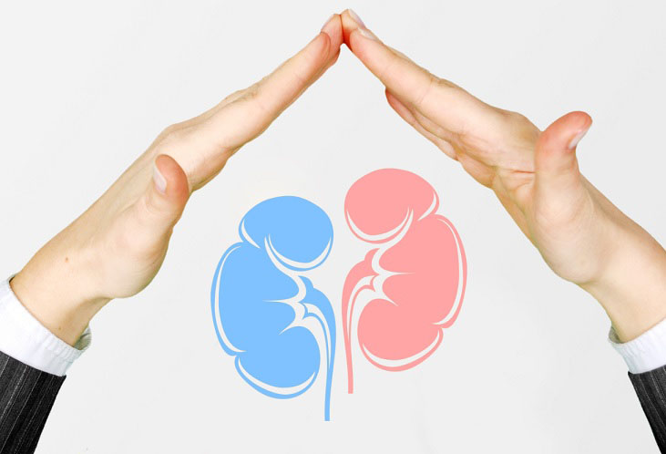 預(yù)防腎病，從生活細(xì)節(jié)做起