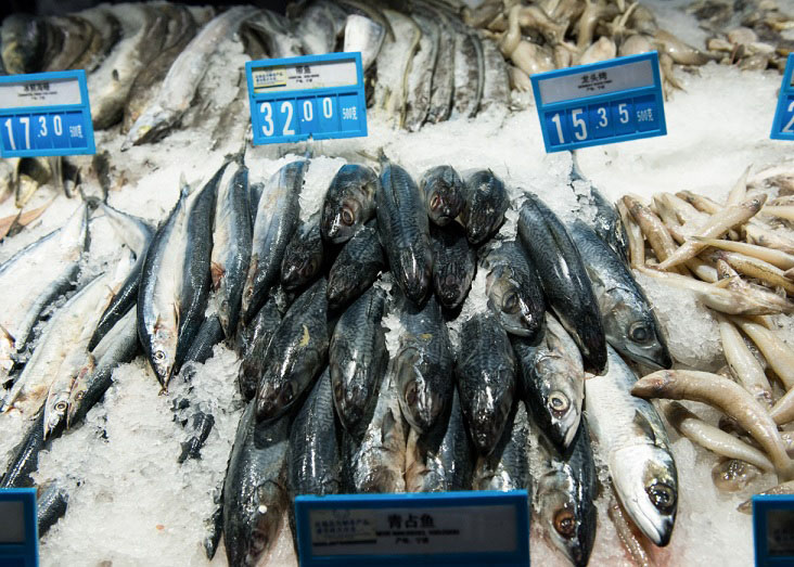 您知道食用核污染海產(chǎn)品的危害嗎
