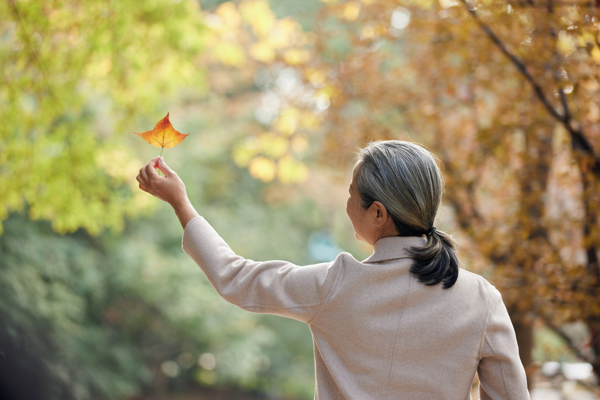 丁克家庭應該如何解決養(yǎng)老問題？