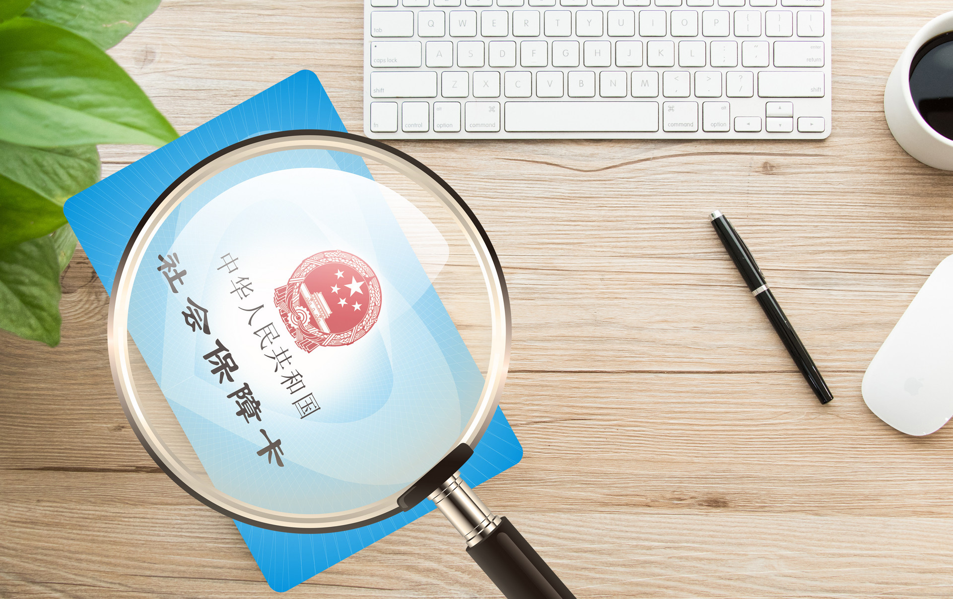 城鄉(xiāng)居民養(yǎng)老保險繳費標準是怎樣的？分幾個檔次？