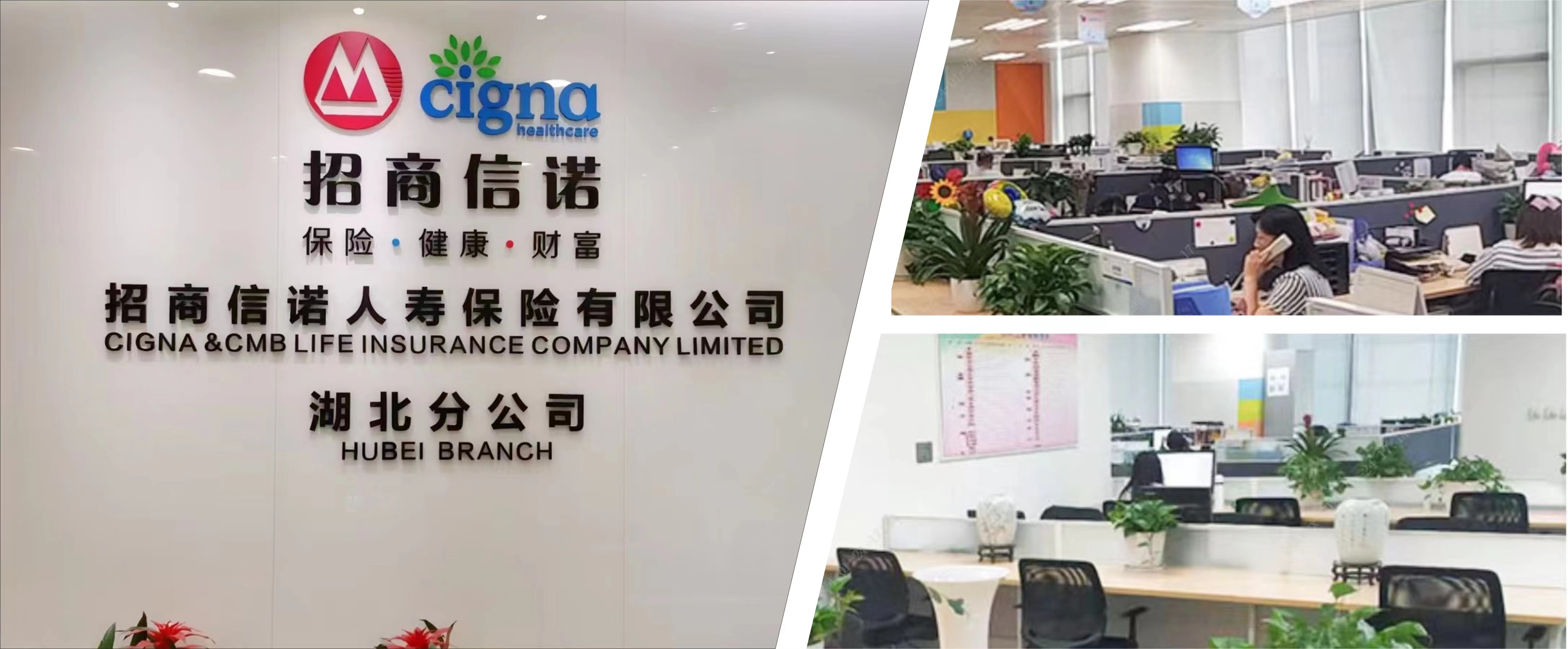 湖北分公司